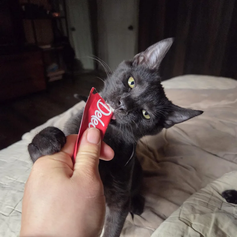 Prancer  Dancer And thumbnail 3