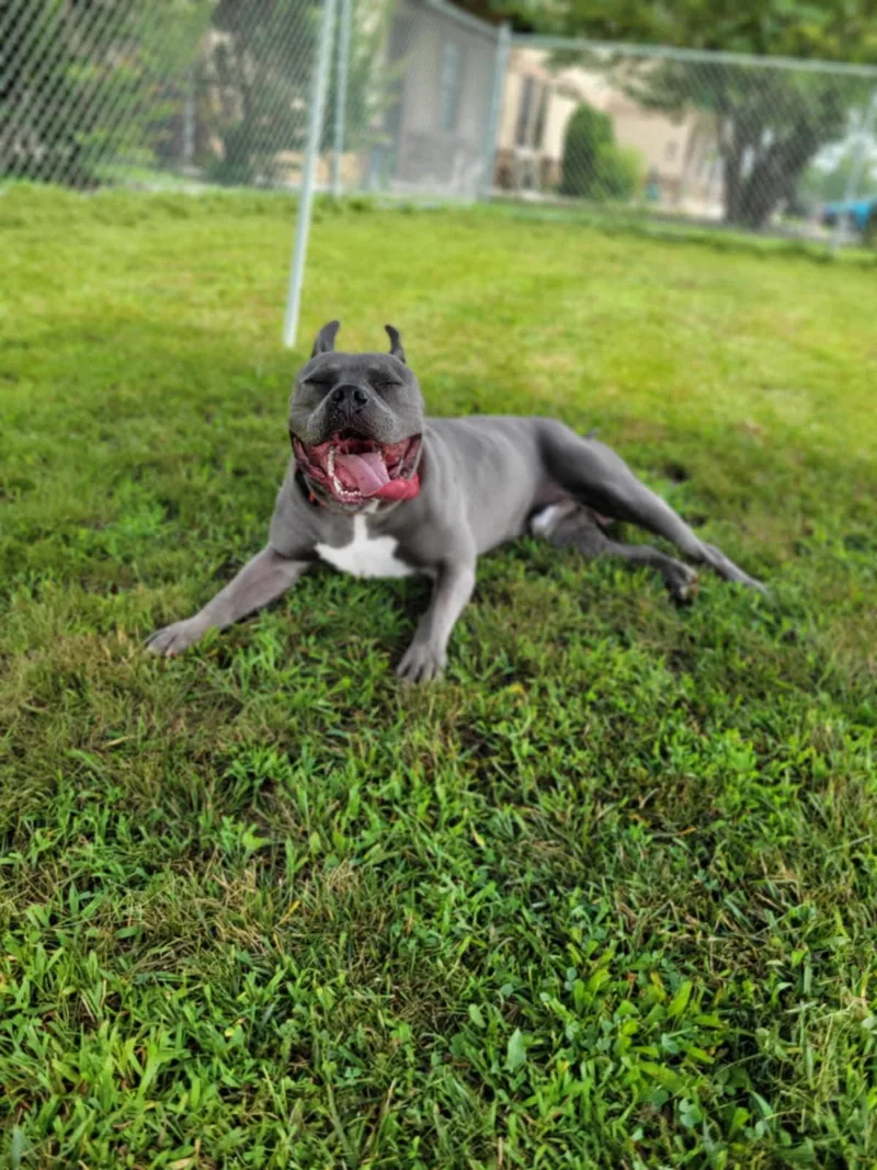 Don Juan thumbnail 2