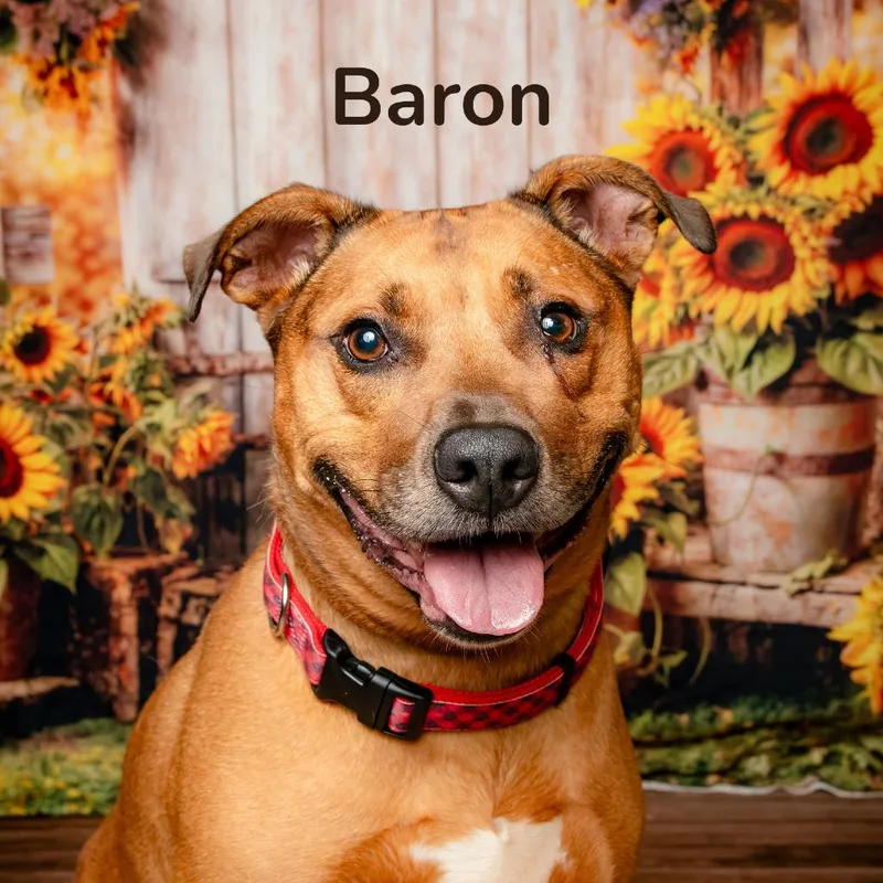 Baron