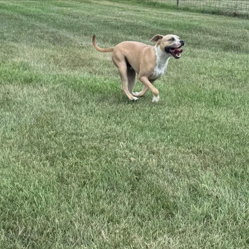 Sam