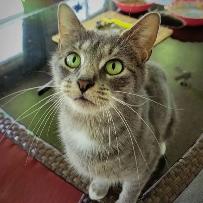 Mama Sadie thumbnail 3