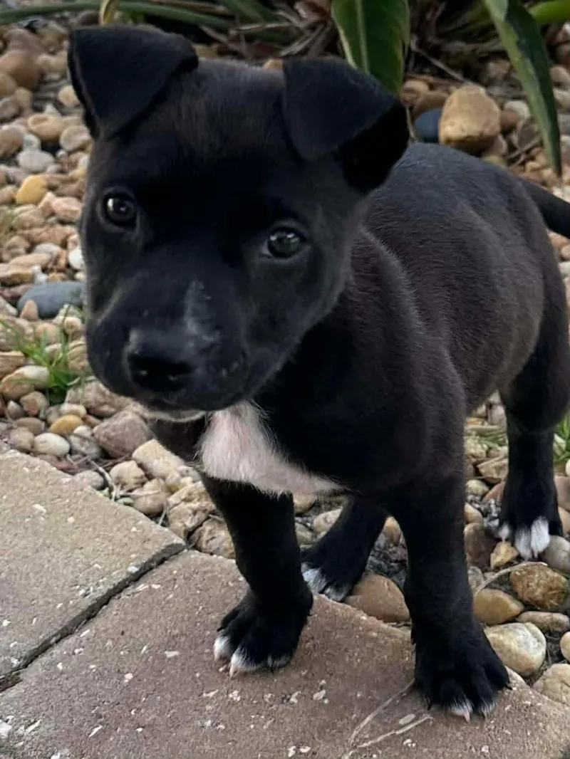 Sprinkles thumbnail 2