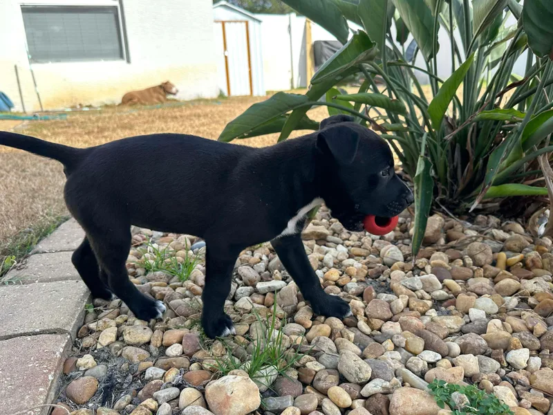 Sprinkles thumbnail 4