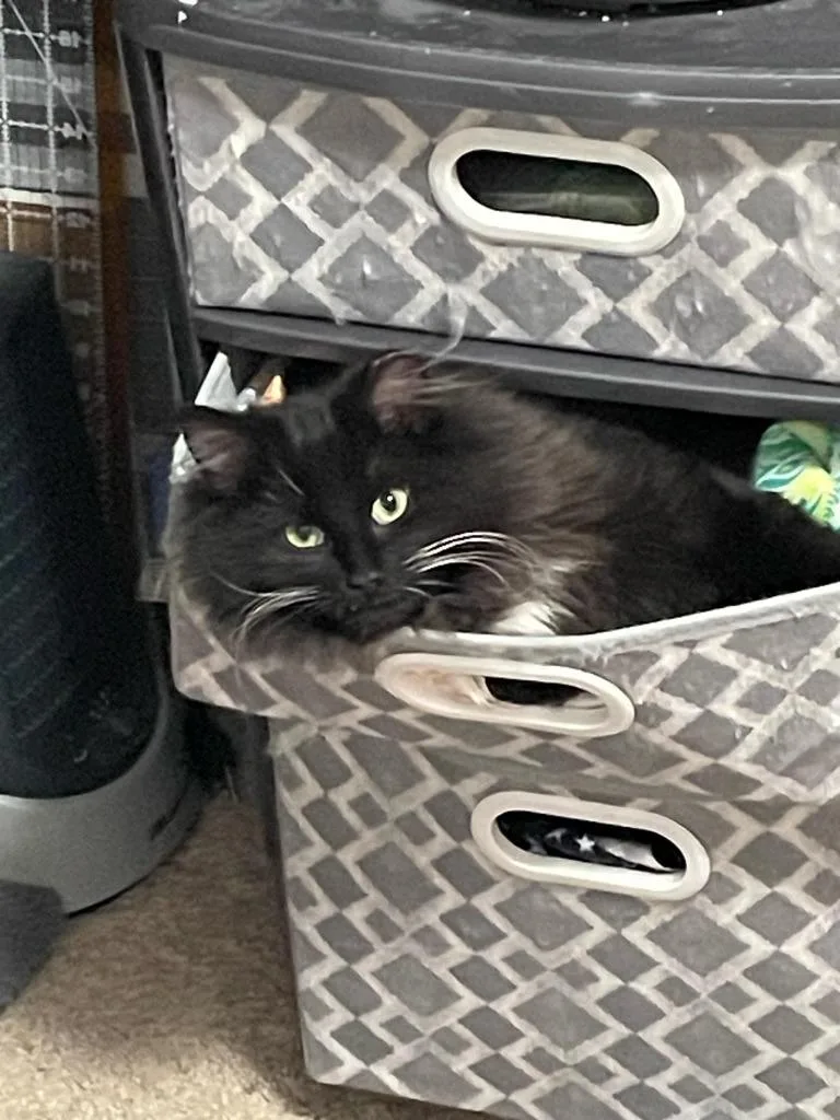 Einstein