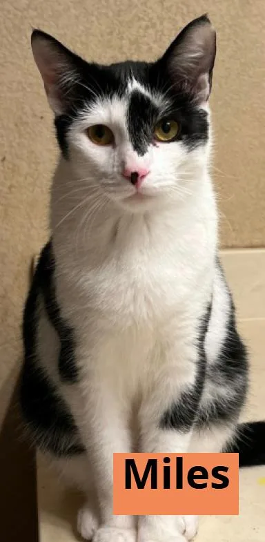 Moxie & Miles thumbnail 2