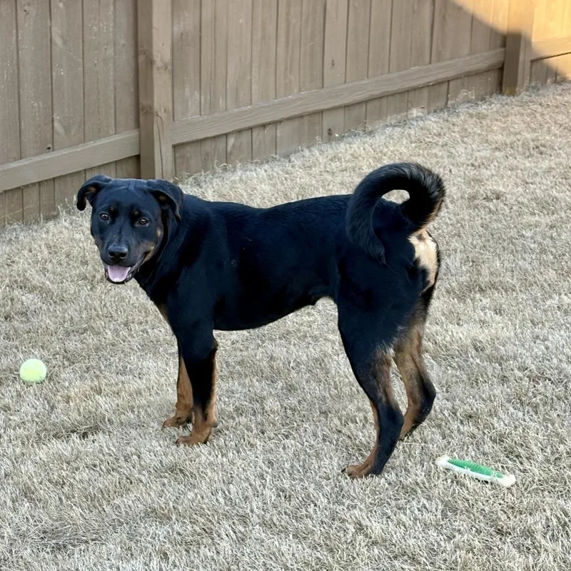 Little Missy thumbnail 5