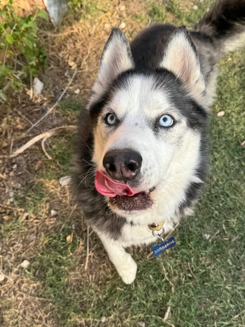 Zeus
