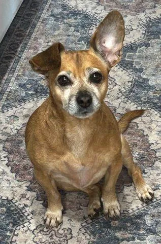 Lily Nason thumbnail 2