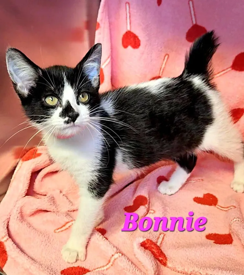 Bonnie