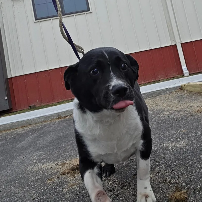 Cleopatra thumbnail 3