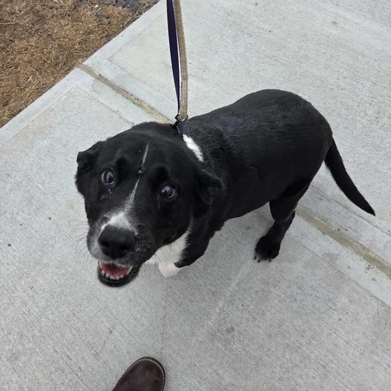 Cleopatra thumbnail 4