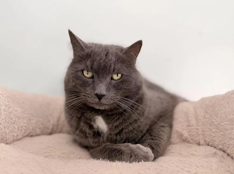 Max Bonded With Jessie thumbnail 2