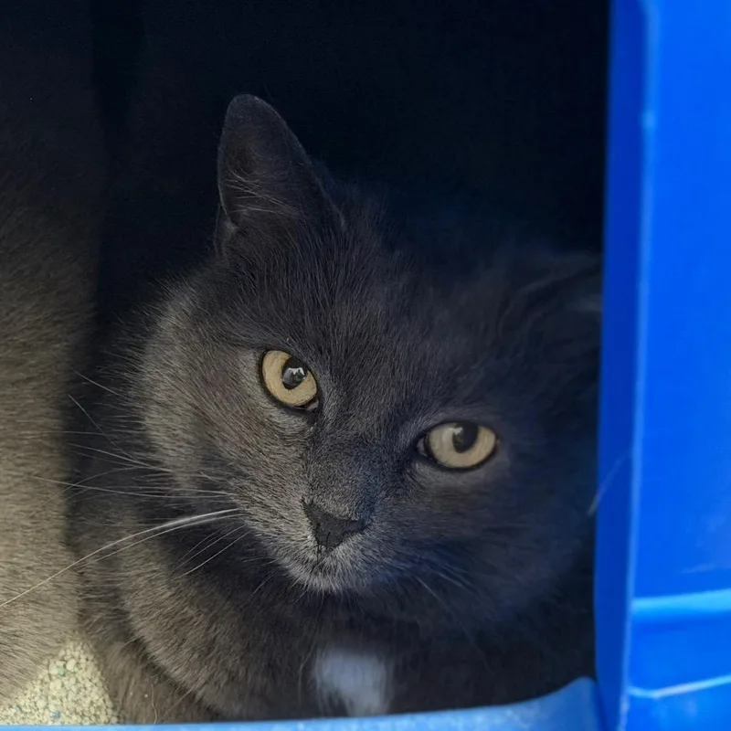 Max Bonded With Jessie thumbnail 3