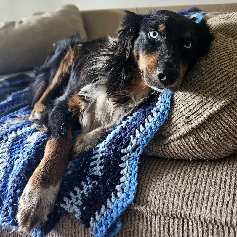 Hudson  The Sweetest thumbnail 2