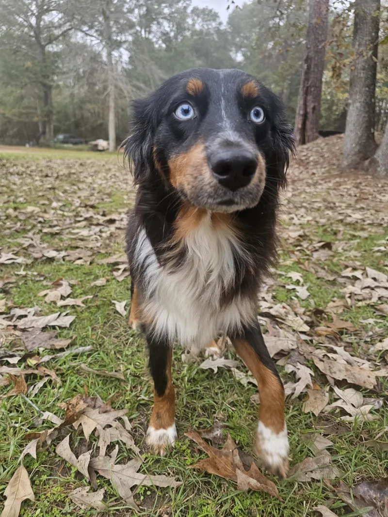 Hudson  The Sweetest thumbnail 4