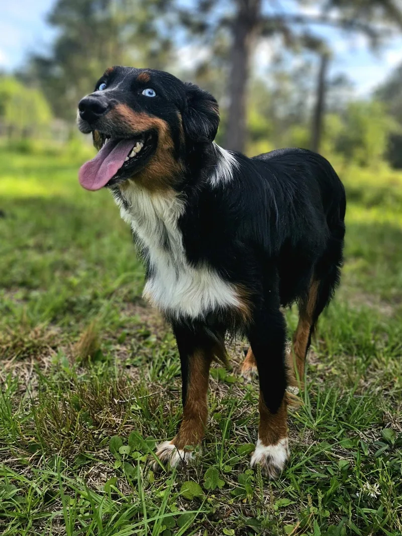 Hudson  The Sweetest thumbnail 5