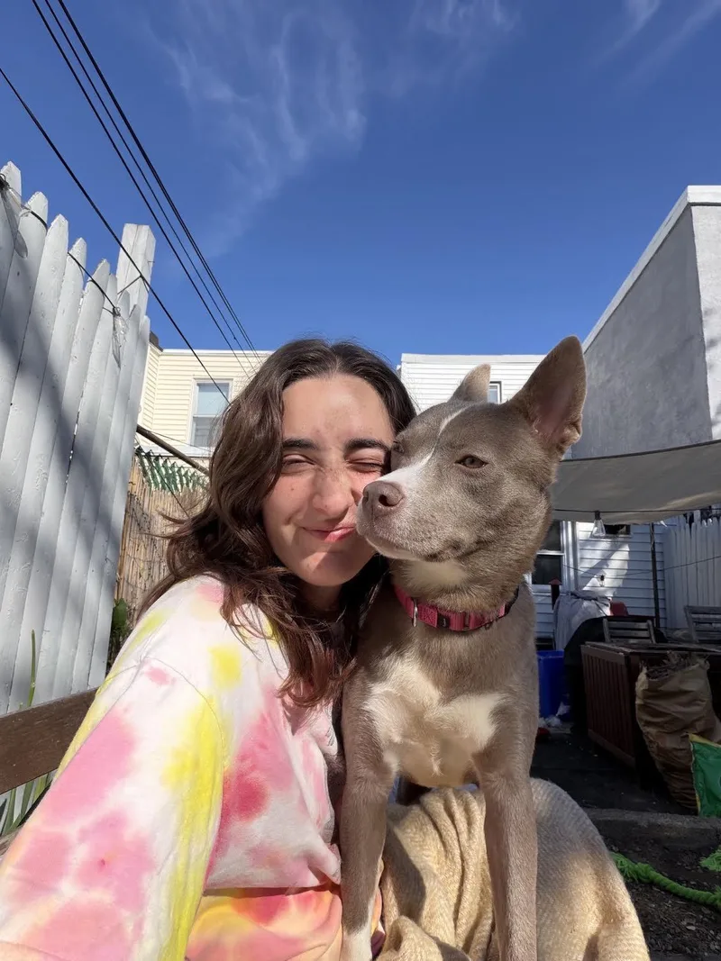 Aya thumbnail 4