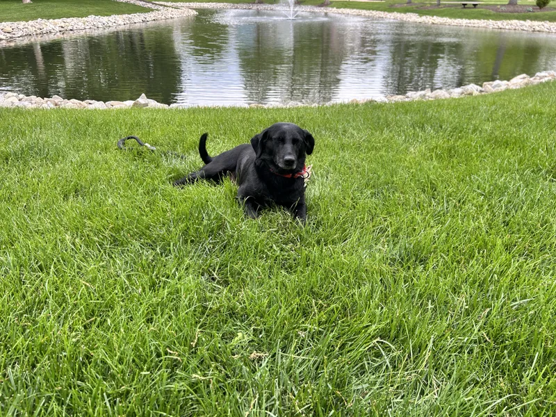 Tilly