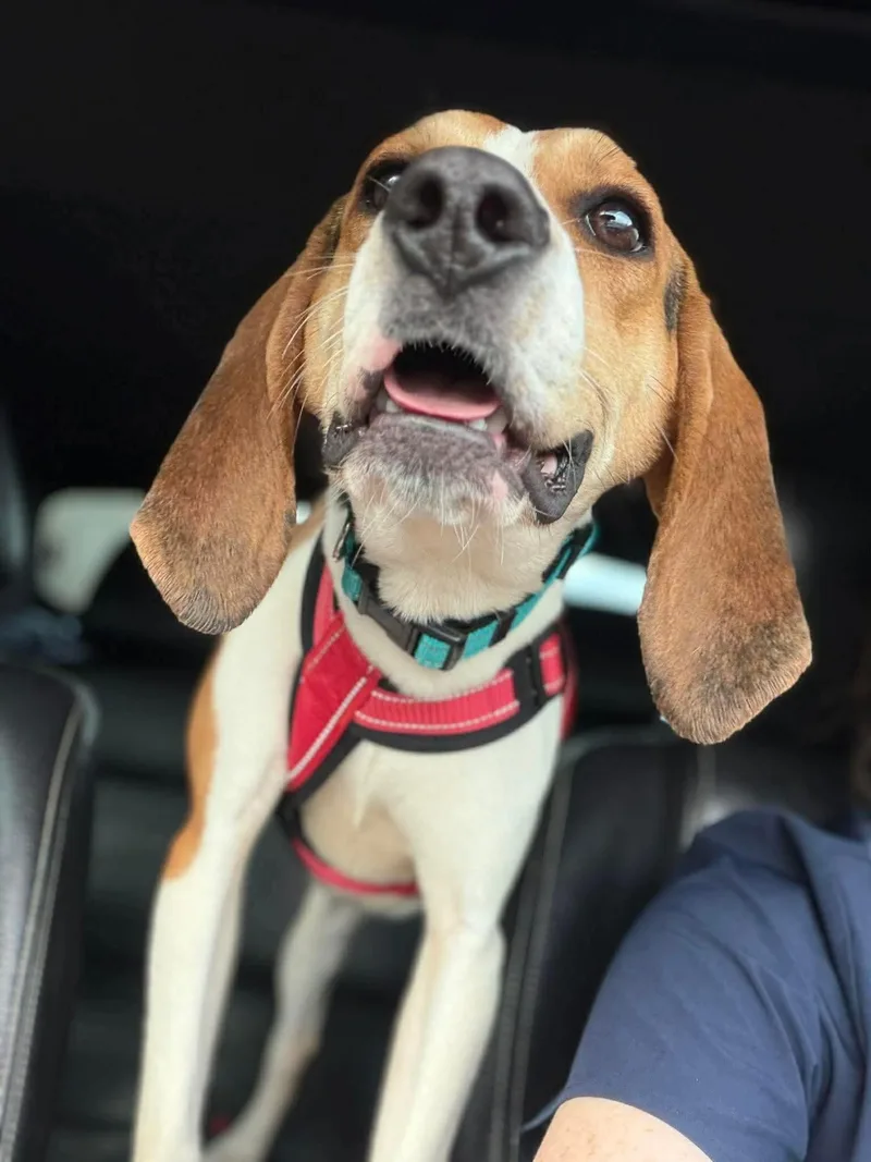 Sara Marie thumbnail 4