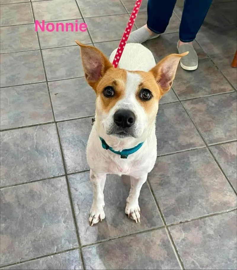 Nonnie thumbnail 2