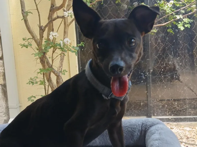 Squiggy thumbnail 2