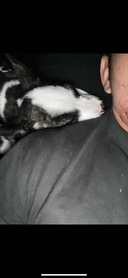 Rainbow Brite thumbnail 3