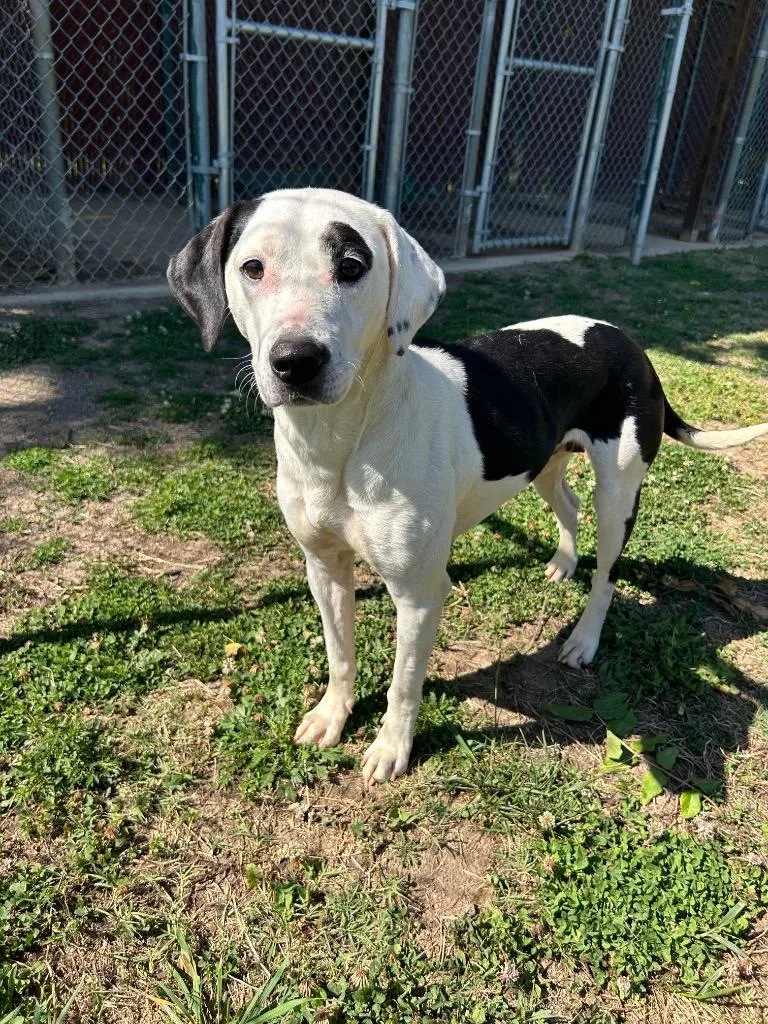 Fiona