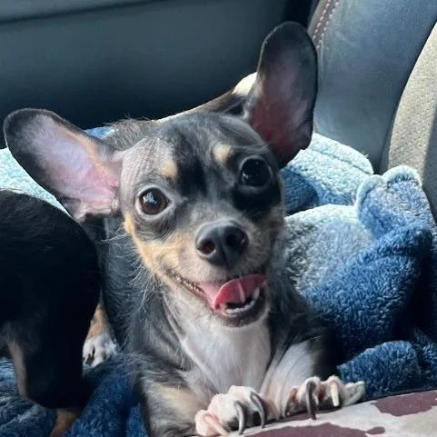 Precious