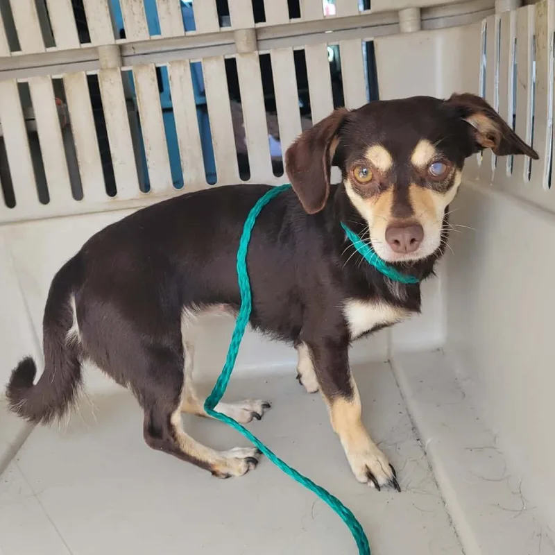 Bunny Bun Bun thumbnail 3