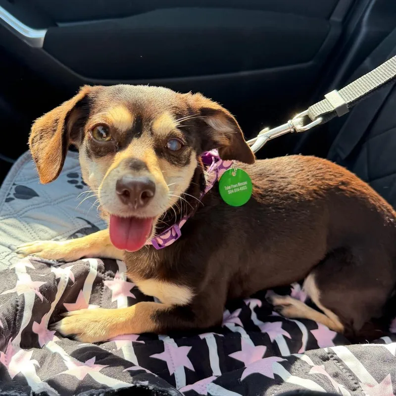 Bunny Bun Bun thumbnail 5