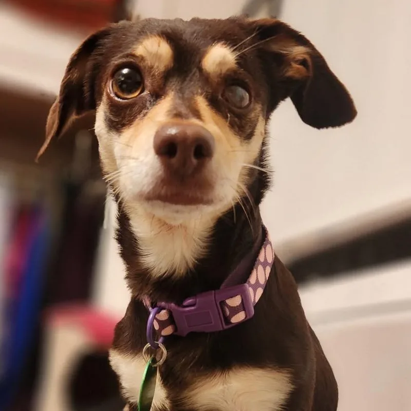 Bunny Bun Bun thumbnail 6