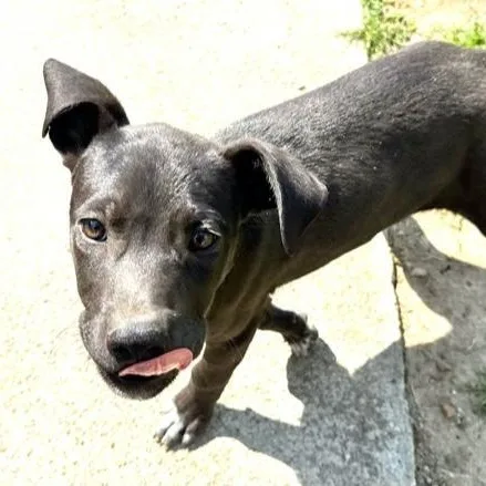 Finley S thumbnail 2