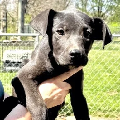 Finley S thumbnail 3