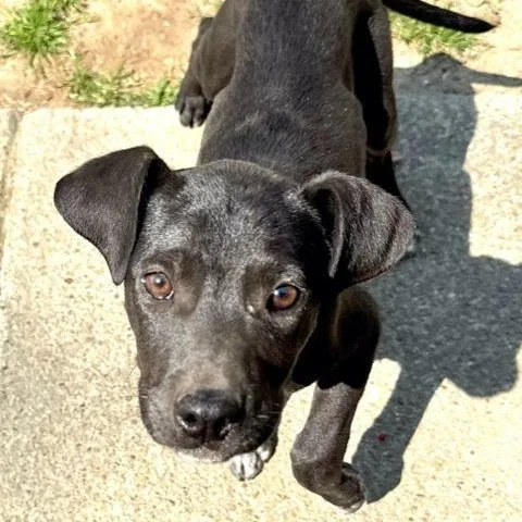 Finley S thumbnail 5