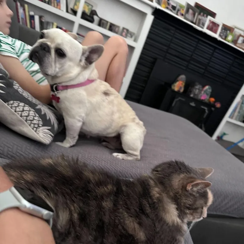 Gigi thumbnail 5