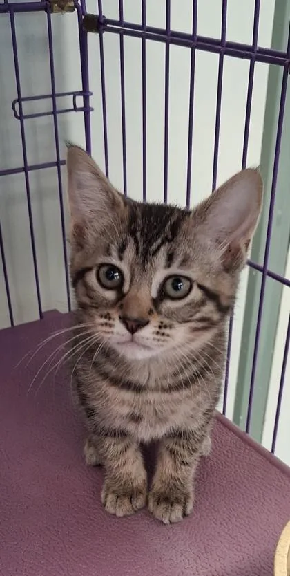 Runescape thumbnail 3