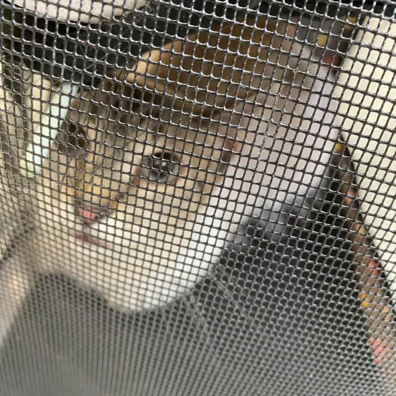An adult medium-sized female White Domestic Short Hair cat named Sadie for adoption in Hannibal, MO