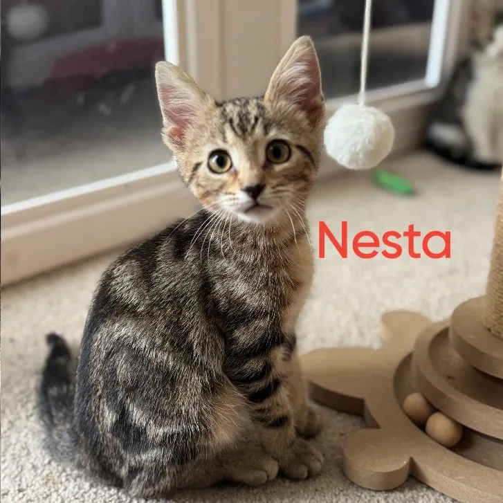 Nesta...Surprise  it's a thumbnail 4