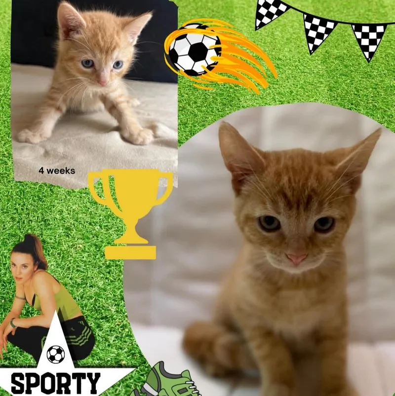 Sporty Spice thumbnail 2