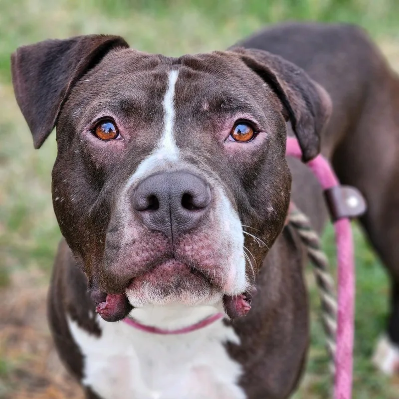 Clemente thumbnail 2