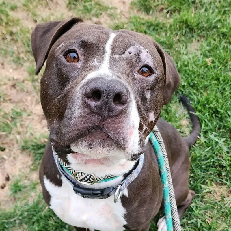 Clemente thumbnail 3