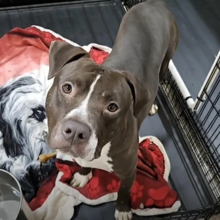 Clemente thumbnail 4