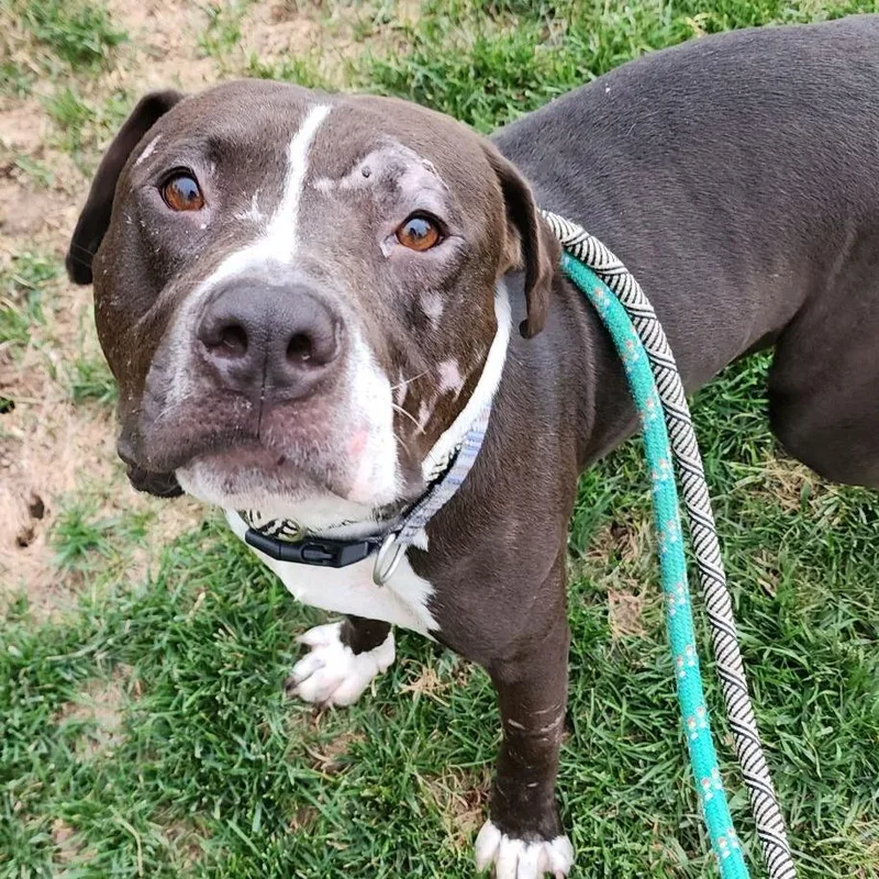 Clemente thumbnail 5