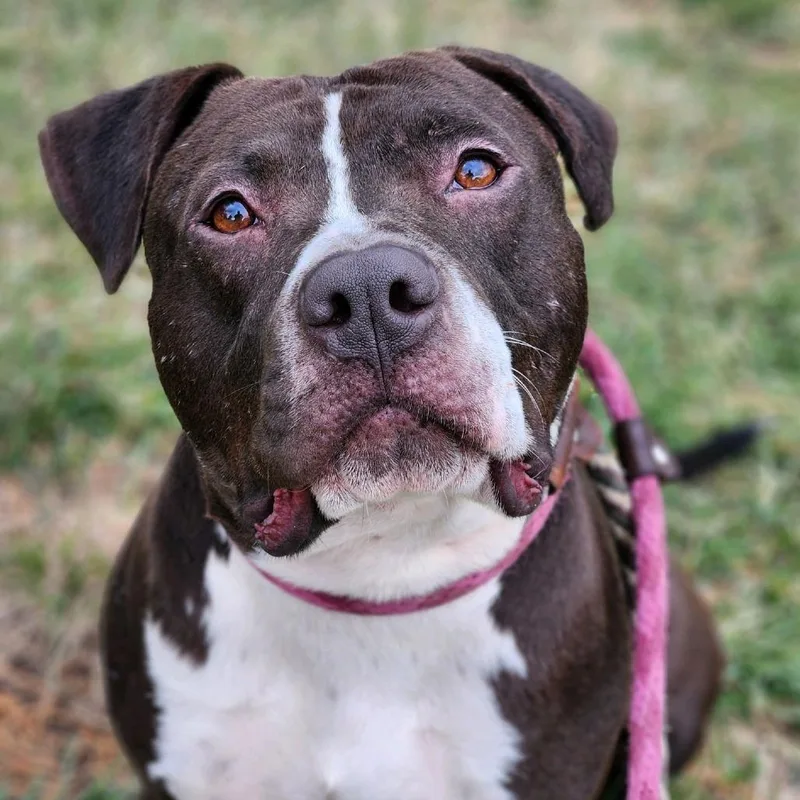 Clemente thumbnail 6