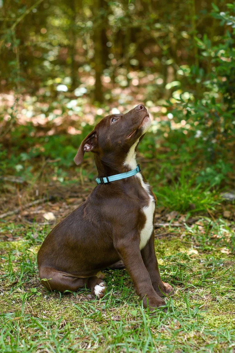 Spike