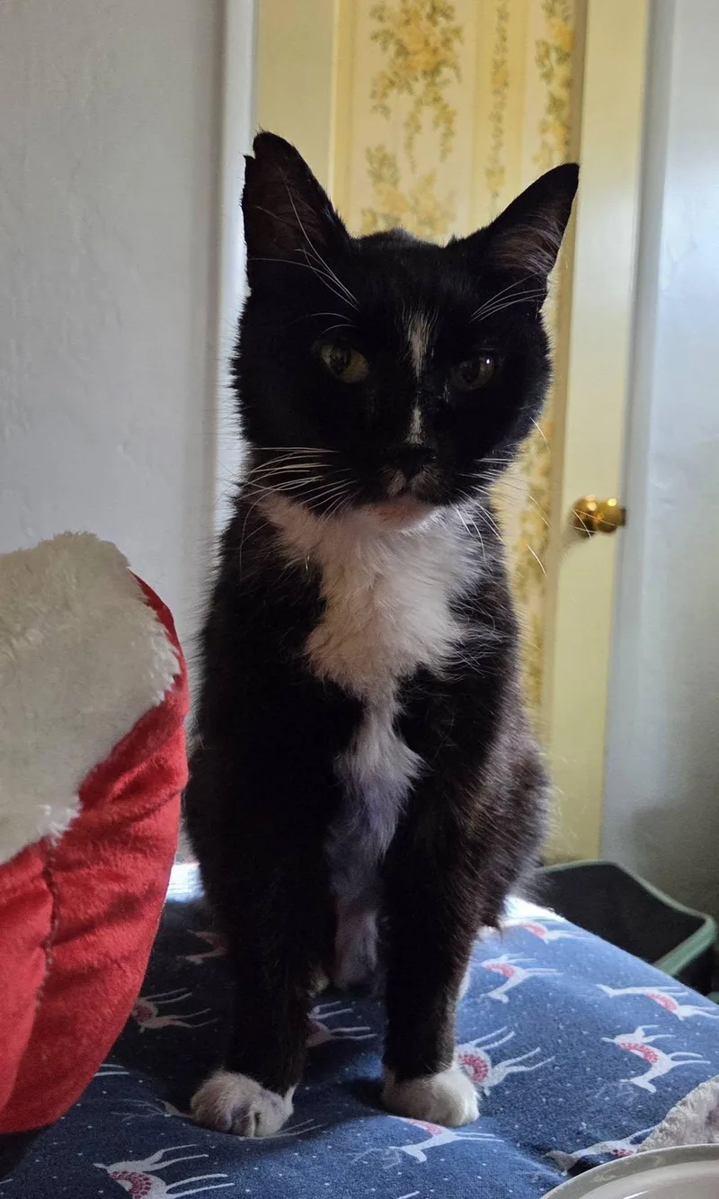 Sam Goody thumbnail 2