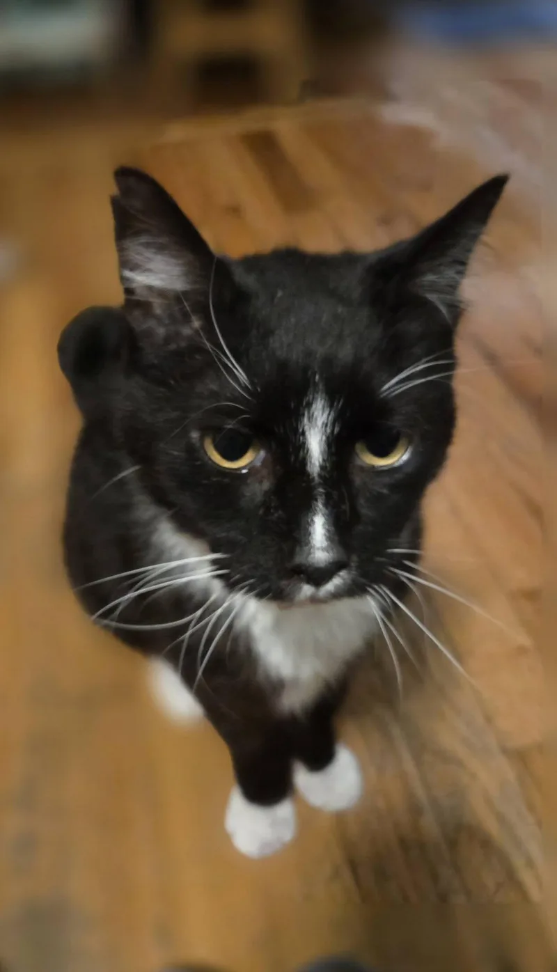 Sam Goody thumbnail 3