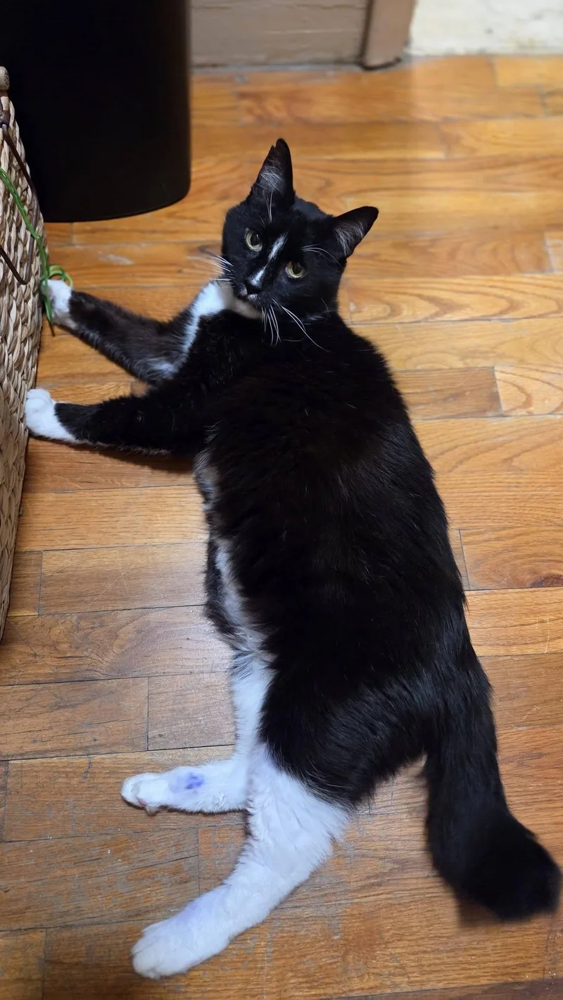 Sam Goody thumbnail 4