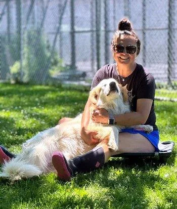 A young large-sized male White / Cream Great Pyrenees dog named Biscuit for adoption in Bedford Hills, NY