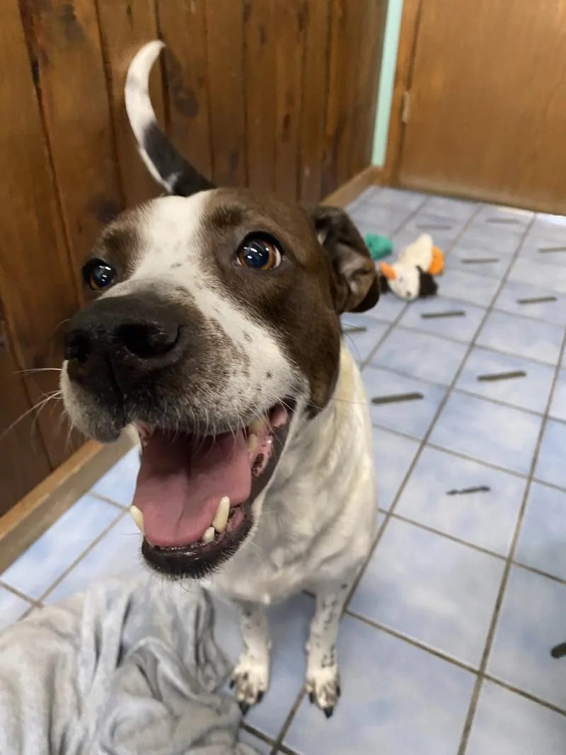 Penelope thumbnail 4